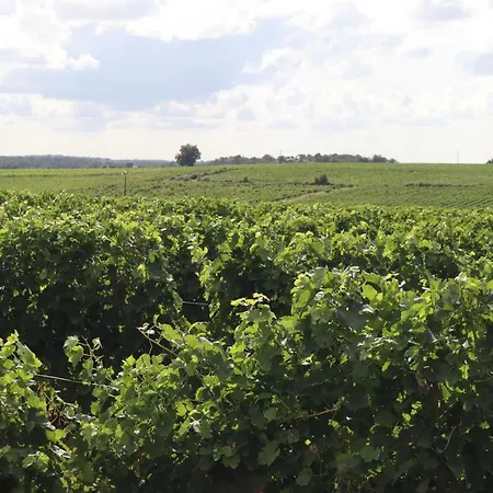 Domaine Des Tilleuls Casa de hóspedes 3*