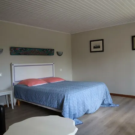 Domaine Des Tilleuls Val-de-Livenne