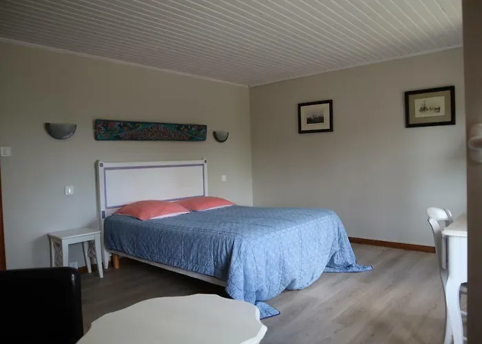 Domaine Des Tilleuls Val-de-Livenne